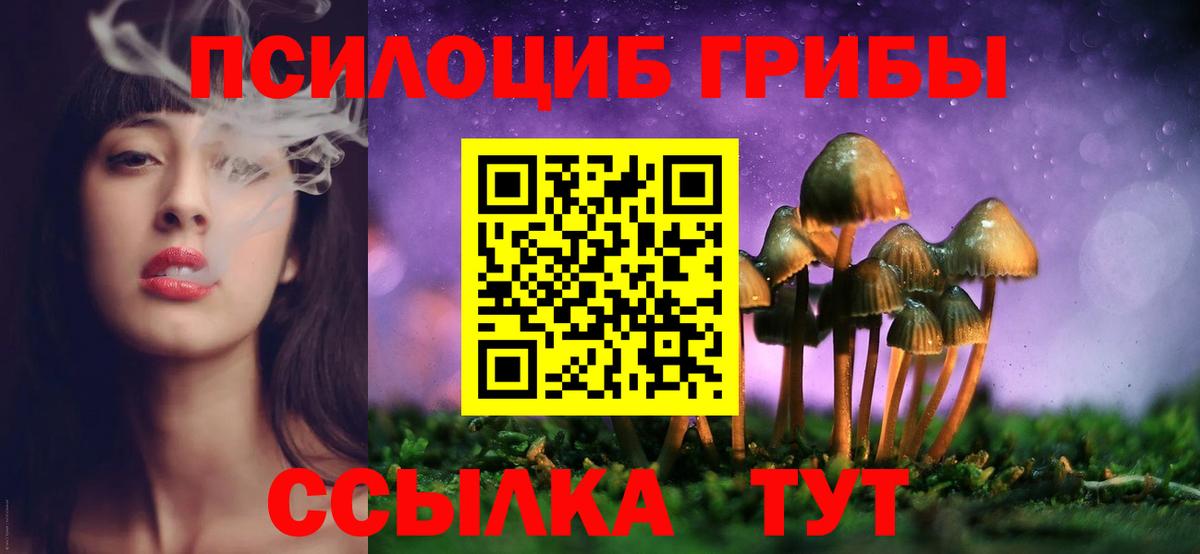 купить наркотик  Вход с VPN  Чебоксары  Галлюциногенные грибы MAGIC MUSHROOMS  Галлюциногенные грибы Psilocybine cubensis 